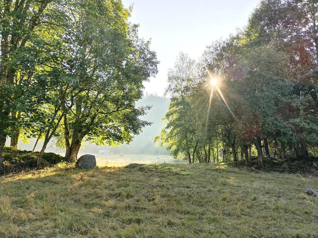 C2 Albmatte-Fewo , Hallenbad Aussenbecken Massagen Nebenan St. Blasien Eksteriør billede