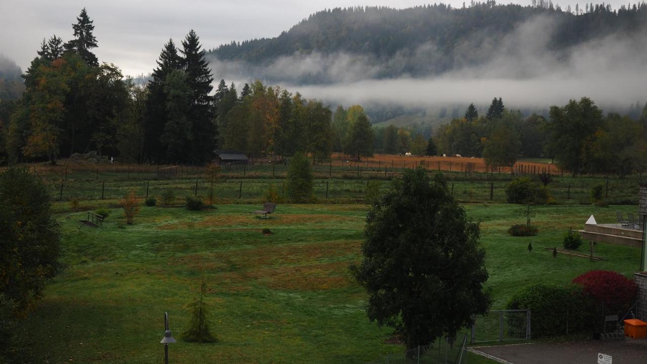C2 Albmatte-Fewo , Hallenbad Aussenbecken Massagen Nebenan St. Blasien Eksteriør billede