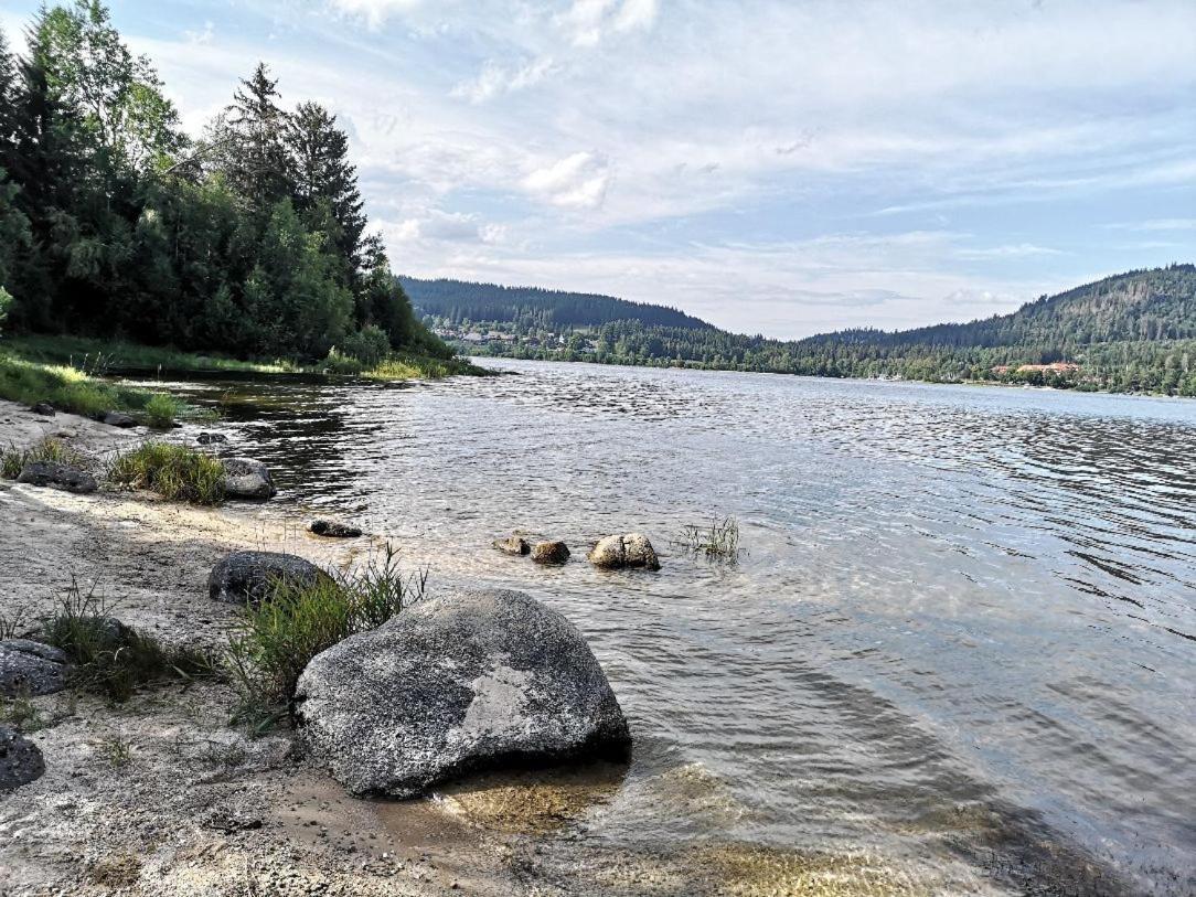 C2 Albmatte-Fewo , Hallenbad Aussenbecken Massagen Nebenan St. Blasien Eksteriør billede