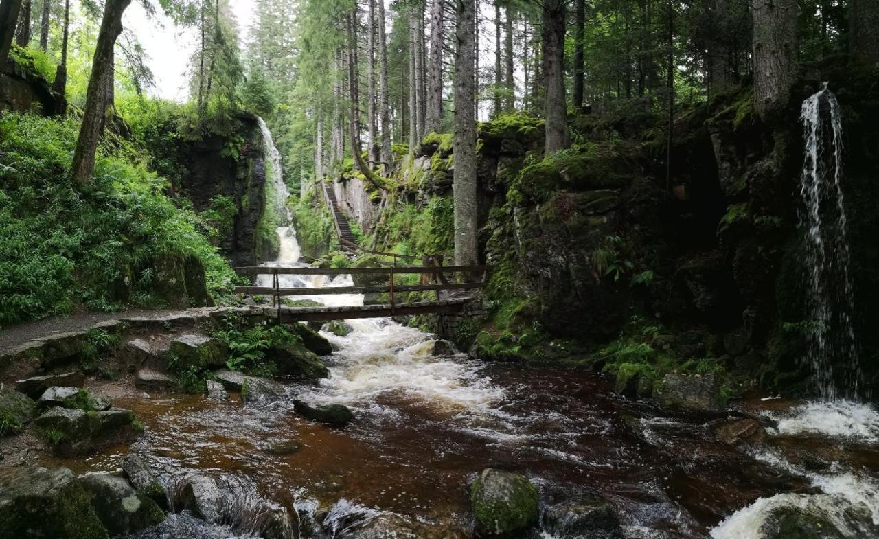 C2 Albmatte-Fewo , Hallenbad Aussenbecken Massagen Nebenan St. Blasien Eksteriør billede
