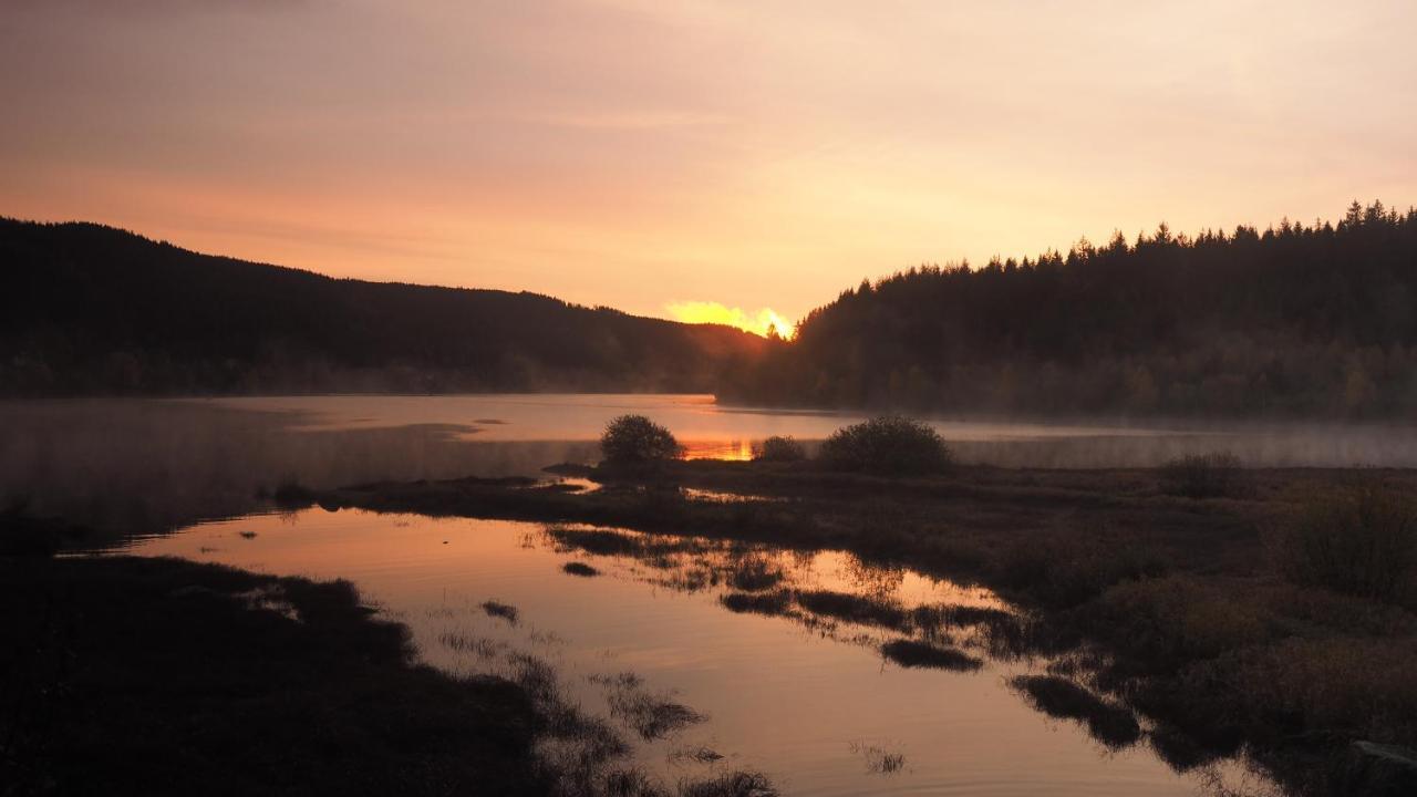 C2 Albmatte-Fewo , Hallenbad Aussenbecken Massagen Nebenan St. Blasien Eksteriør billede