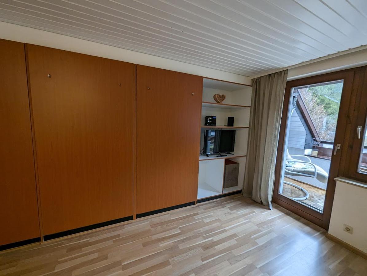 C2 Albmatte-Fewo , Hallenbad Aussenbecken Massagen Nebenan St. Blasien Eksteriør billede