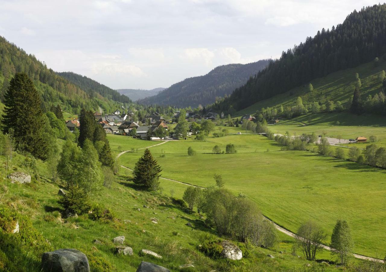 C2 Albmatte-Fewo , Hallenbad Aussenbecken Massagen Nebenan St. Blasien Eksteriør billede