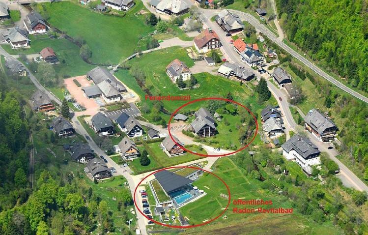 C2 Albmatte-Fewo , Hallenbad Aussenbecken Massagen Nebenan St. Blasien Eksteriør billede