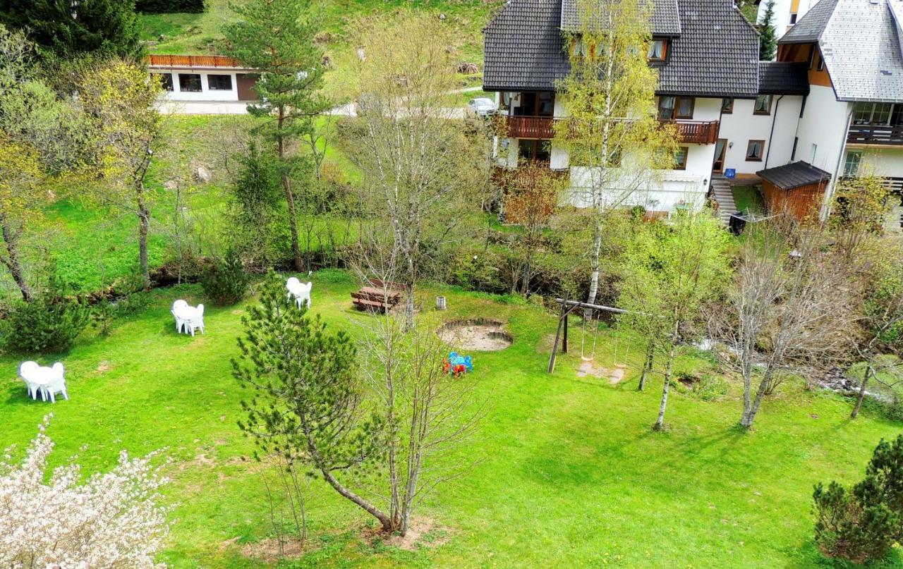C2 Albmatte-Fewo , Hallenbad Aussenbecken Massagen Nebenan St. Blasien Eksteriør billede
